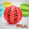 Kauspielzeug für Hunde / Noppenball für die Maulhygiene kaufen