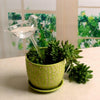 Kunstvolle Selbstbewässerungsstecker aus Glas/ Pflanzenbewässerungsset