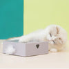 Interaktives Katzenspielzeug / Spielbox FEDER mit Sensor für Katzen