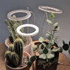 LED Pflanzen-Wachstums-Lampe / Pflanzenlampe / Vollspektrum Zimmerpflanze